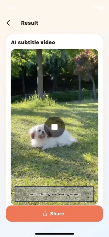 A shareable Decody subtitle result